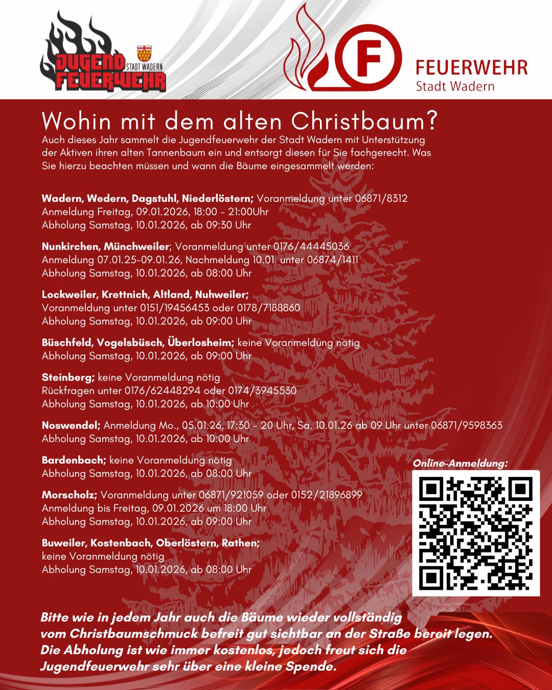 Weihnachtsbaumsammelaktion__Instagram-Post__45__-2